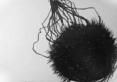 Driving Force, Selman Trtovac