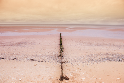 Normandie 02, davide canali