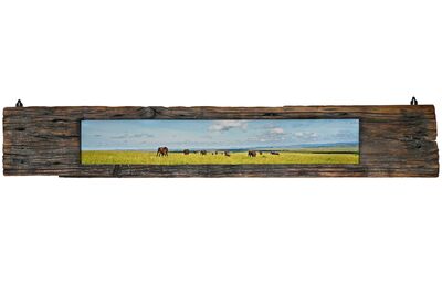 ELEFANTI  -  ELEPHANTS, Enrico De Santis