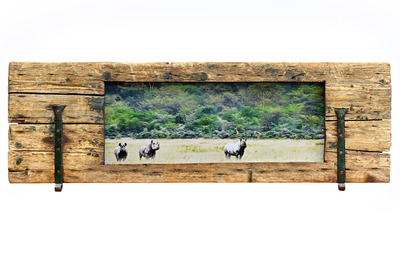 RINOCERONTI  -  RHINOS, Enrico De Santis