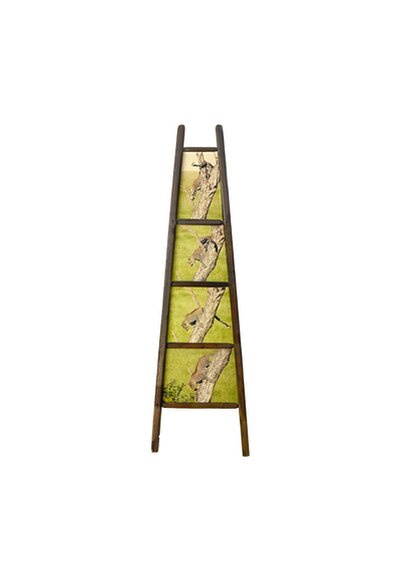 LA SCALA DEL LEOPARDO  - LEOPARD’S STAIRS, Enrico De Santis