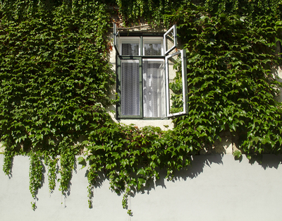 Old House By Danube Visegrad, 2 – Hungarian Cultural Heritage ***** Vecchia casa al Danubio di Visegrad, 2 – Patrimonio culturale ungherese, Anna Linda Knoll