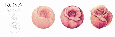 LetterAzione - ROSA, SATOR