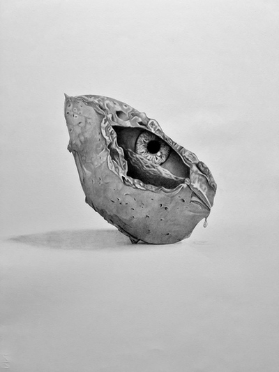 La sofferenza della natura, Alessia Simeone