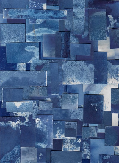 Tidying the ocean up, Lisa Roselli Zani