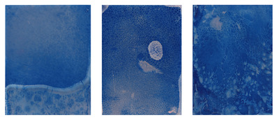 Acqua Viva, Lisa Roselli Zani