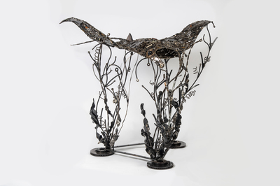 Manta Ray, Simon Saronni