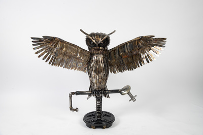Owl, Simon Saronni