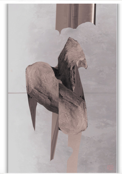 The Architecture of Disappearance - Open to offers, Dnika Blazek