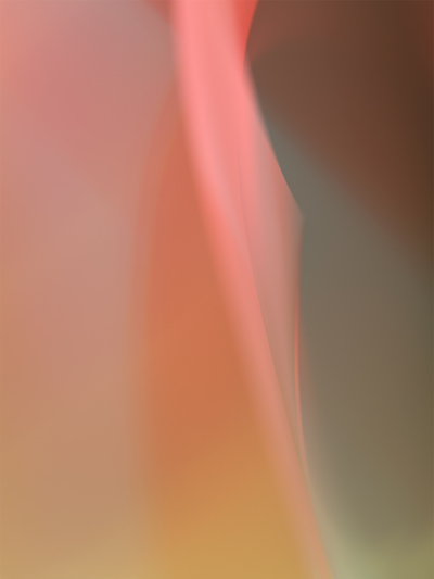 Emulate, David Solomita