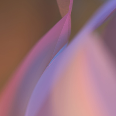 Reunion, David Solomita