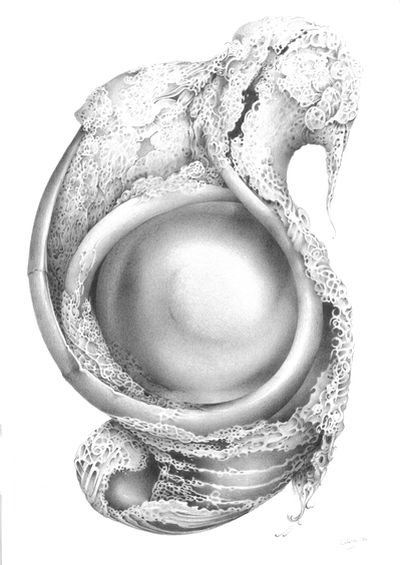 La Perla, Symona Colina