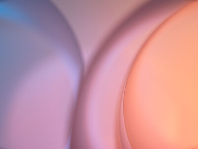 Allegory, David Solomita