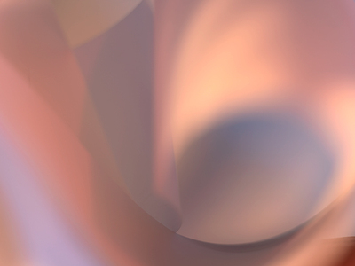 Earnest, David Solomita