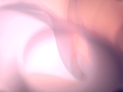 Arrive, David Solomita