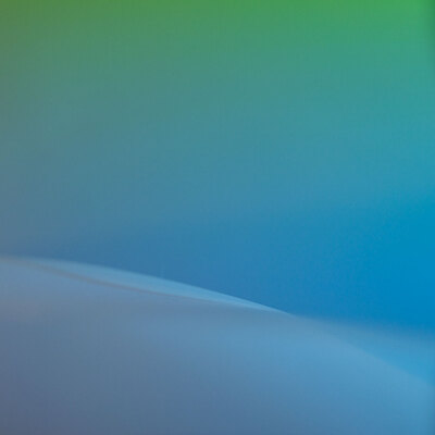 One-Step, David Solomita