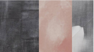 LIGHTNESS OF WOMENITY  V ARTWORKS  LIMITED EDITION OF 50, Dnika Blazek