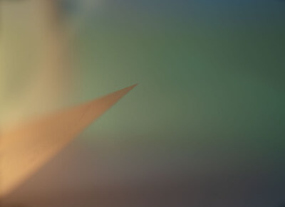 Often, David Solomita