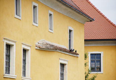 Points Of View (Living History) – Maribor Cultural Heritage – Special Selection Series ///// Punti di vista (Storia vivente) – Patrimonio culturale di Maribor – Serie Selezione Speciale, Anna Linda Knoll