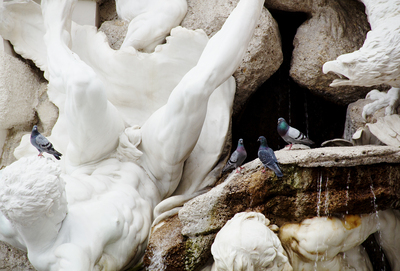 Points Of View (War and Peace) – Vienna Cultural Heritage – Special Selection Series ///// Punti di vista (Guerra e pace) – Patrimonio culturale di Vienna – Serie Selezione Speciale, Anna Linda Knoll