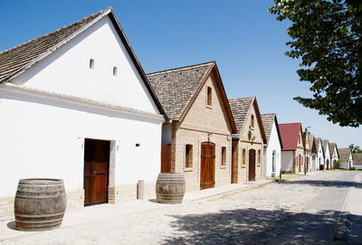 Paks 100 Wineries Historic District (6) ///// Distretto storico delle 100 cantine a Paks da visitare (6), Anna Linda Knoll