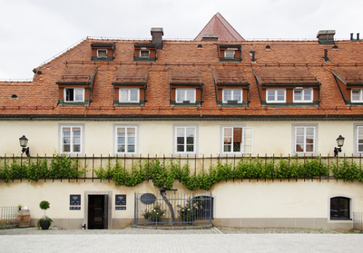 Maribor World’s Oldest Grapevine (2) ///// La vite più antica del mondo a Maribor (2), Anna Linda Knoll