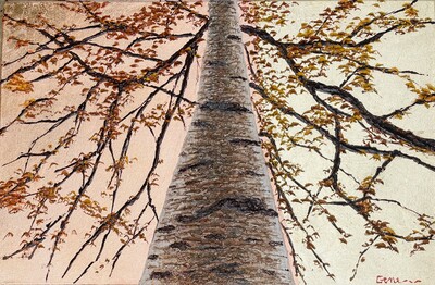 Assolo celestiale, Gene Pompa