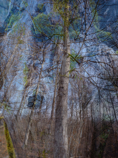 Everything is in Flow, Romy Pfeifer