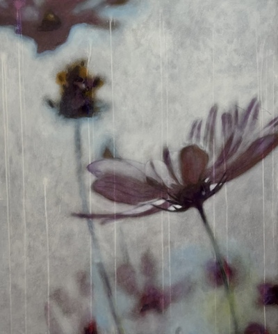 Aria, Massimo Barlettani