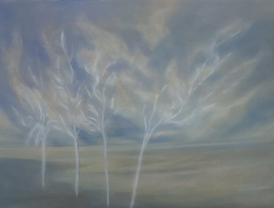 Alberi, D’Amato Cecilia