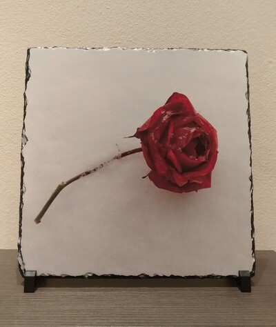 un mondo di silenzio, ALBERTO CHIARETTO