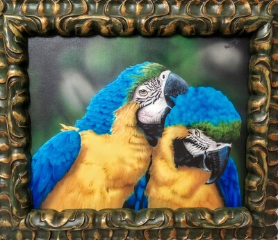 Pappagalli, Marco Labru