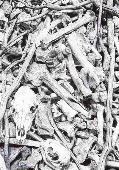 Omnia Mutantur, Pietro Ruisi