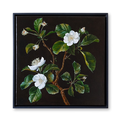 Botanical Etude No. 10, Elen Bezhen