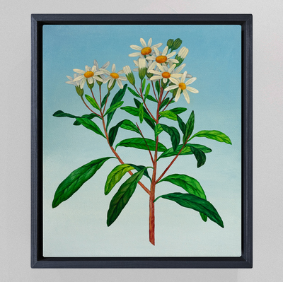 Botanical Etude No. 17, Elen Bezhen