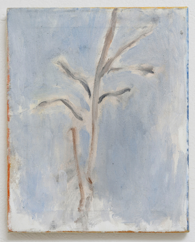 Albero della veglia condizionata, Andrea Astolfi