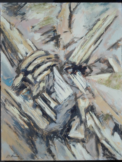 Nei miei boschi 11, Daniele Bianco