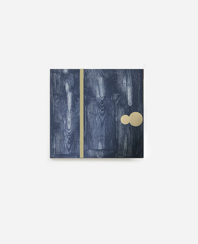 Senza Titolo, Michele Lombardelli