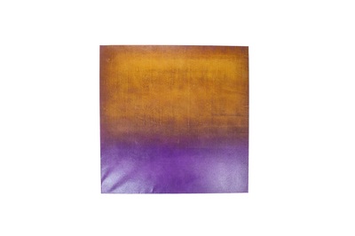 Fringe, Luca Bonfanti