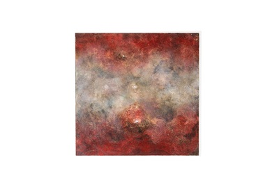 Trascendenza 49, Luca Bonfanti