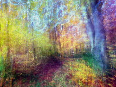 Fairy Tale, Romy Pfeifer