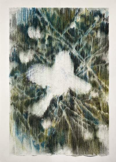 Untitled, Tomás Toste