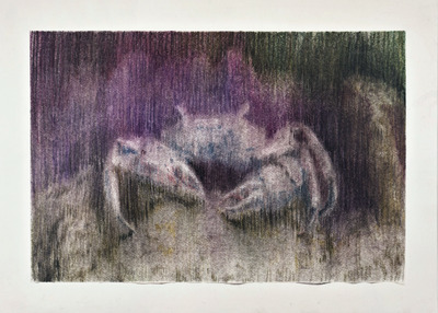 Untitled, Tomás Toste