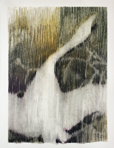 Untitled, Tomás Toste