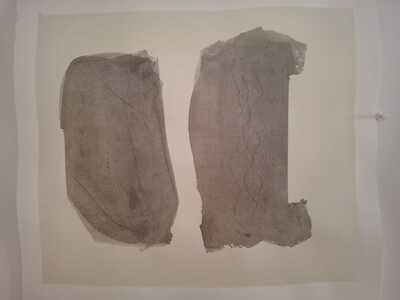 Untitled, Fernando Mesquita