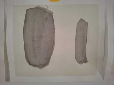 Untitled, Fernando Mesquita