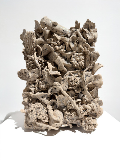 Sottobosco, Mattia Papp