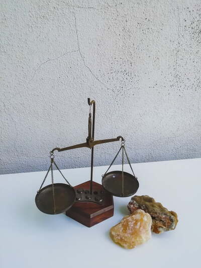 Mineral Judgment, Elisa Gravino
