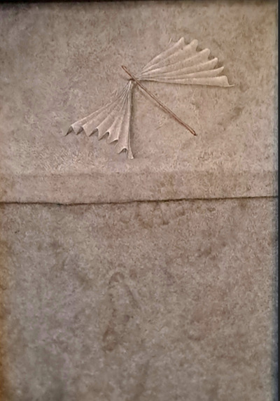 Libellula, Armodio