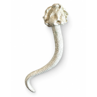 Dracontopode 1, Diego Azzola